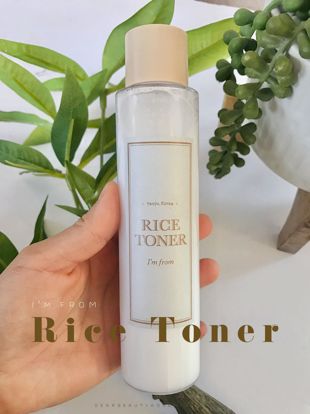 I'm From Rice Toner Review – Do I still it? Dear Beauty Adventure