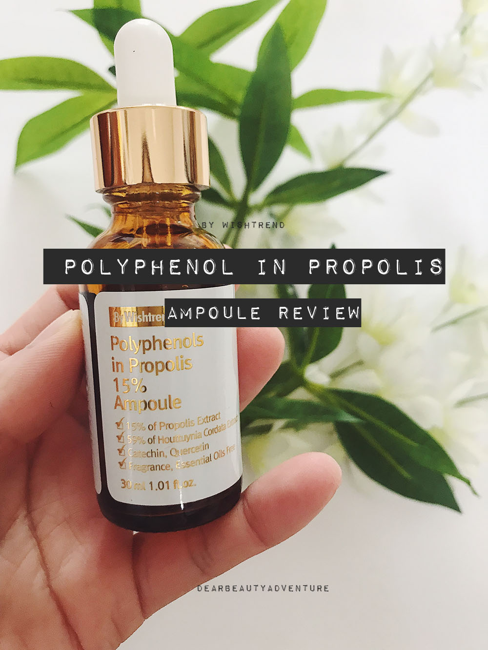 By Wishtrend polyphenol in propolis review