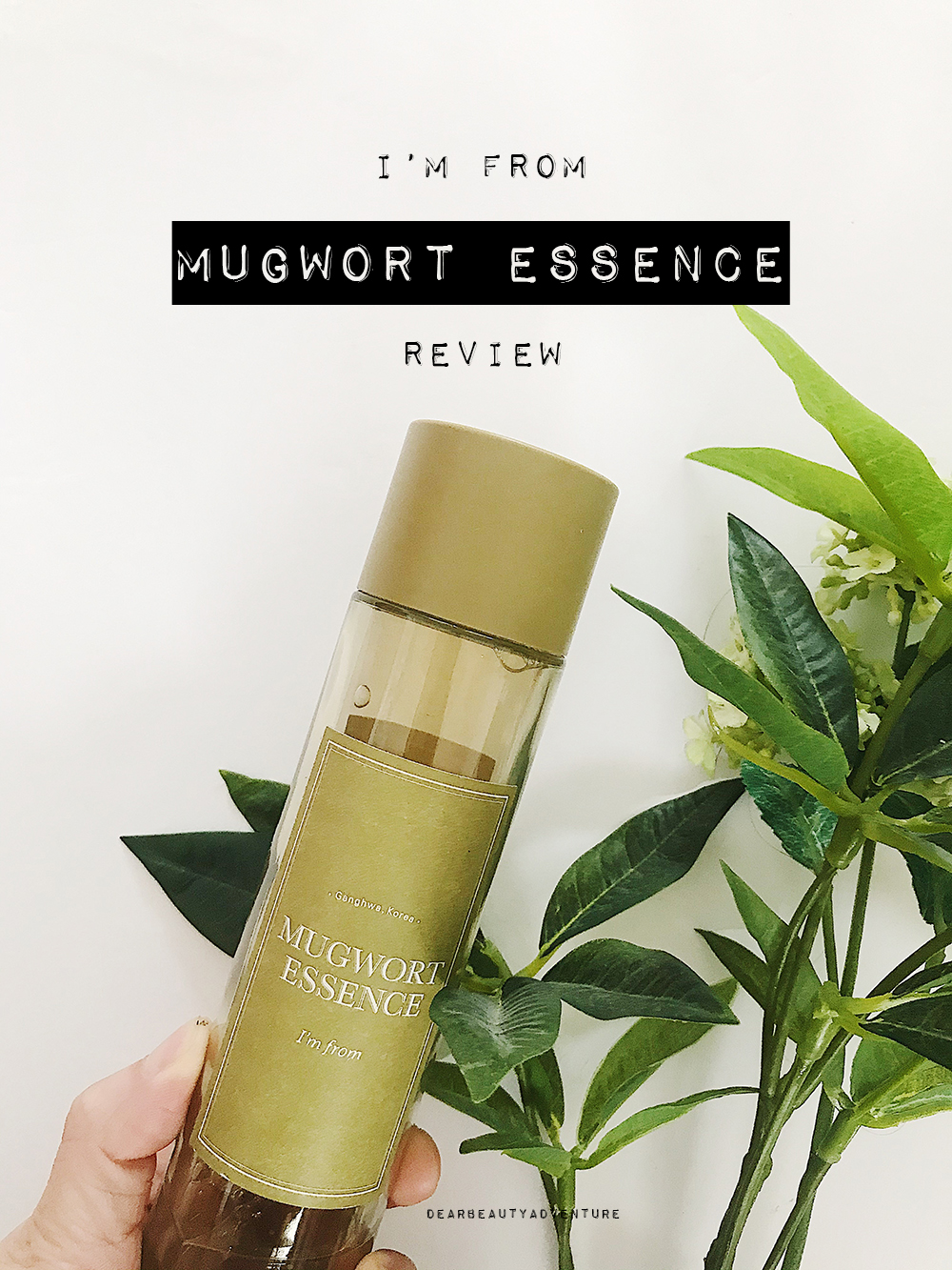 i'm from mugwort essence toner review