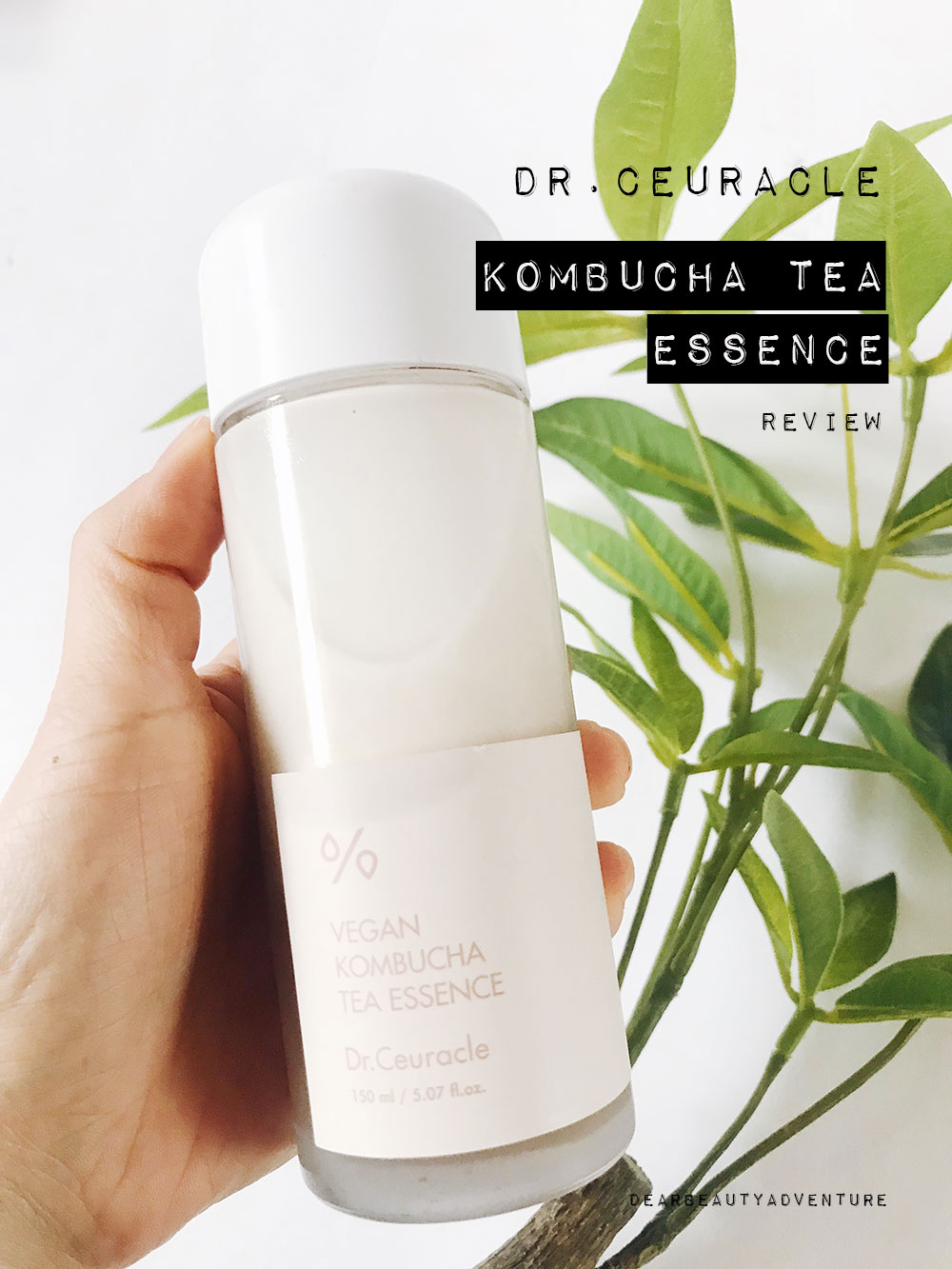 Dr.Ceuracle kombucha tea essence review