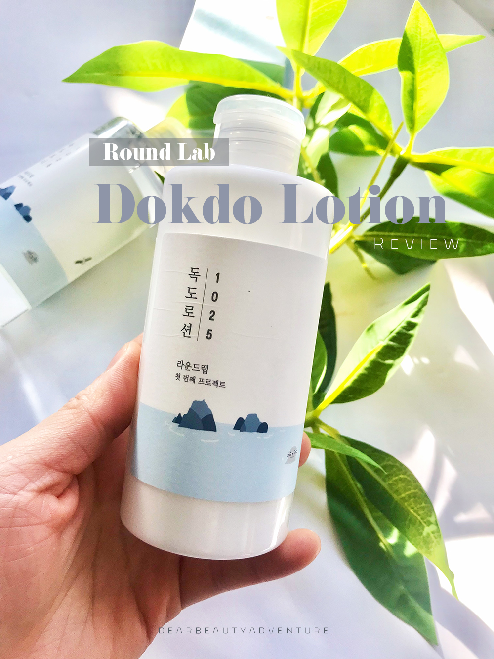 Round Lab Dokdo 1025 Lotion Review