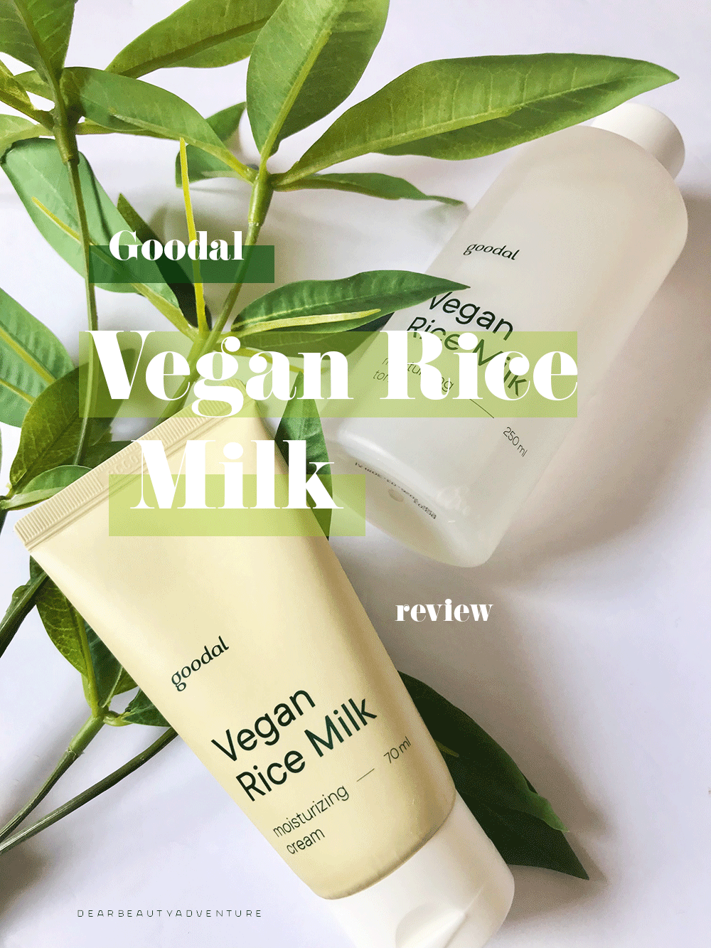 Goodal Vegan Rice Milk Revieew Toner + Cream