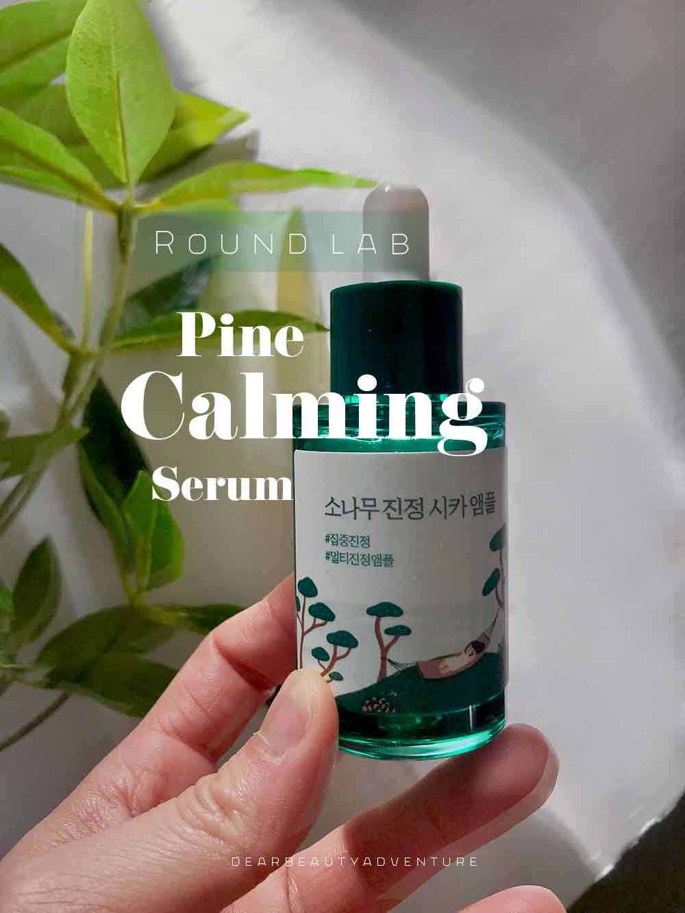 Round Lab Pine Calming Cica Ampoule Review